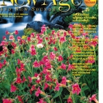 new age and new sounds marzo 1998