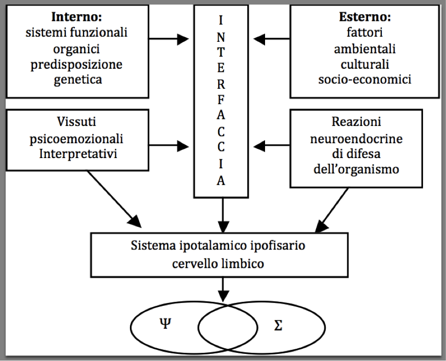 Interno-Esterno del corpo